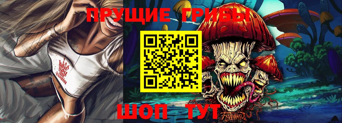 Муром  что такое   Вход с VPN  Псилоцибиновые грибы мухоморы  Псилоцибиновые грибы Psilocybine cubensis 