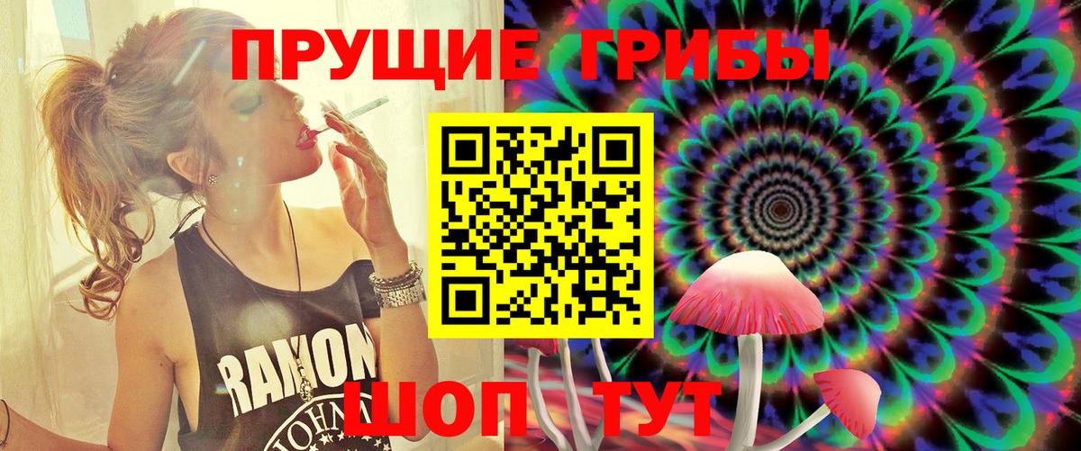Псилоцибиновые грибы Cubensis Муром